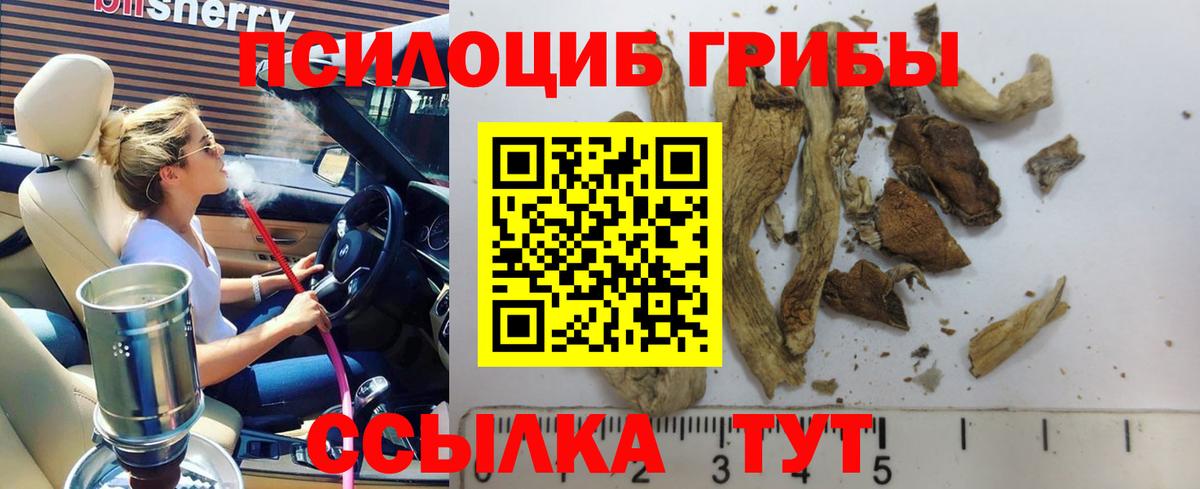 Таганрог  Псилоцибиновые грибы MAGIC MUSHROOMS  купить наркотики сайты  Галлюциногенные грибы Cubensis  Вход с VPN 